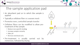 Lateral Flow Webinar: A Guide to Lateral Flow Immunoassay Development