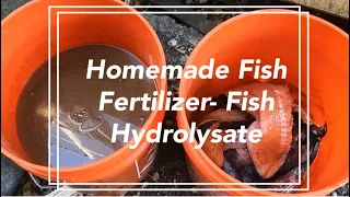 Fish Hydrolysate - Fermented Fish Fertilizer