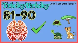 TrickyBricky Level 81 82 83 84 85 86 87 88 89 90 Solution Walkthrough