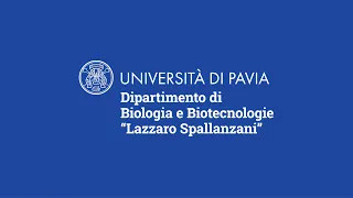 Dipartimento di Biologia e Biotecnologie "Lazzaro Spallanzani"  - Marco Biggiogera