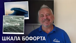 Что такое шкала Бофорта и как ее использовать