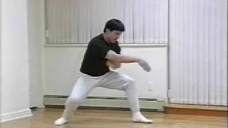 Drunken Style Kung Fu - 1996