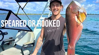 SPEARFISHING - BALDIE and TUNA in the Esky