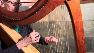 Aways on my Mind (Willie Nelson HARP COVER)