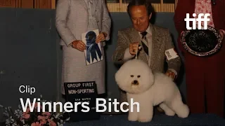 WINNERS BITCH Clip | TIFF 2018