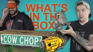 WHAT'S IN THE BOX CHALLENGE (Water Edition)