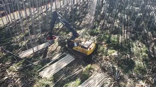 John Deere E210 Forestry Excavator with a Waratah H215E Harvesting Head