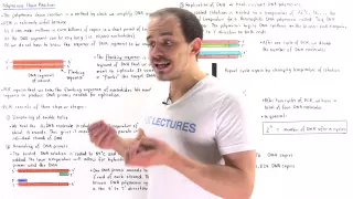 Amplifying DNA with Polymerase Chain Reaction