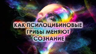 КАК ПСИЛОЦИБИНОВЫЕ ГРИБЫ МЕНЯЮТ СОЗНАНИЕ