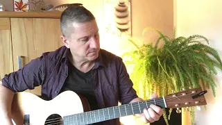 In the court of the crimson king - acoustic version - easy played - Michael Fleischberger