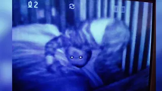 Top 5 creepy things caught on baby monitors