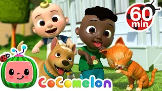 Opposites Song + More Nursery Rhymes & Kids Songs - CoComelon