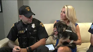 Meet Bratenahl Police Department`s brand new K-9 Officer Cash