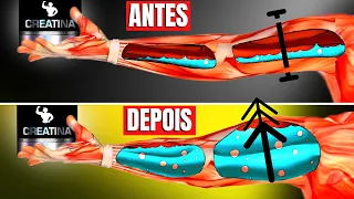 Seu corpo SEM Creatina vs COM Creatina: Efeitos de Tomar Creatina / Suplemento | CORPO HIPERTROFIADO