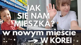 Jak się mieszka w NOWYM MIEŚCIE w Korei - DAILY VLOG - poszukiwania paryskiej bagiety, mięsnego i...