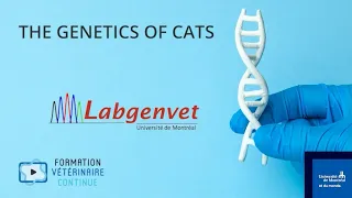 The genetics of cats (excerpt)