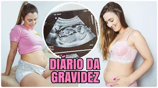 DIÁRIO DA GRAVIDEZ | PRIMEIRO TRIMESTRE (4 a 13 semanas) | diabetes gestacional, descoberta do sexo