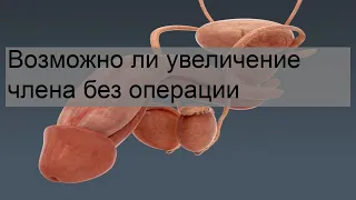 Возможно ли увеличение члена без операции