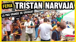 FERIA TRISTAN NARVAJA. La más grande de URUGUAY.