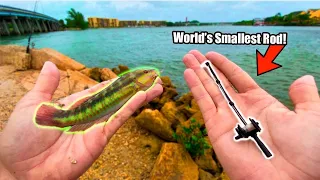 World's Smallest Fishing Rod Catches Tropical Aquarium Fish!!