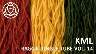 Ragga Jungle Tube Vol. 14