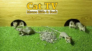 Cat Games - Mice Games For Cats To Watch - 10 Hours Mice Hide & Seek For Cats - Mice in Holes - 4K