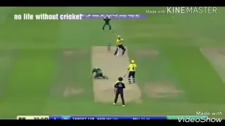 Live death of cricketer oh....no