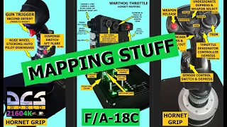 DCS WORLD F/A-18C THROTTLE & STICK MAPPING