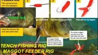 TENCH FISHING RIG | MAGGOT FEEDER RIG