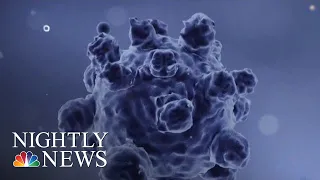 2019 On Track To Break Record For Most Measles Cases In 20 Years, Says CDC | NBC Nightly News