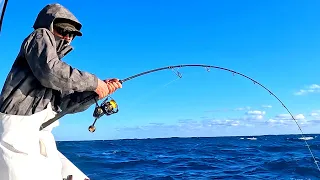 Jig Outfished Bait? (Commercial Fishing Mixed Bag Bottomfish)