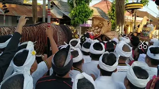 Sepengerauh Ida Sesuhunan Jagat Penatahan ring Bebalang, 26/7/2019