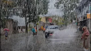 Heavy rain wets my village, Walking in the Rain, Sleep instantly with the sound of heavy rain