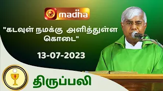 🔴 LIVE  13 JULY 2023 Holy Mass in Tamil 06:00 PM (Evening Mass) | Madha TV