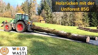 Starke Eschen mit Fendt 412 und Uniforest 85G rücken