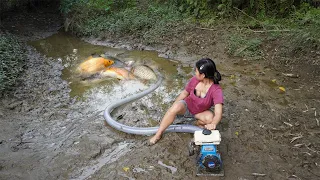 Fishing - Using pumps, pumping water outside the natural lake, Harvesting a lot of big fish