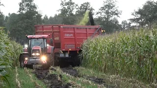 Mais hakselen - Loonbedrijf Zandman in de modder met hun nieuwe DEWA aangedreven silagewagens (2019)