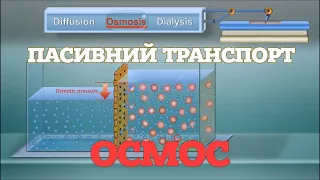 Пасивний транспорт. Осмос. [CanalDivulgación]