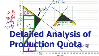 Deadweight loss of a Production Quota: Consumer and Producer Surplus