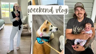 WEEKEND VLOG: making our house cozy, vet visits, and our baby turns one month old!?