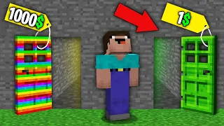 Minecraft NOOB vs PRO: NOOB BOUGHT RAINBOW DOOR FOR 1000$ VS INFECTED DOOR FOR 1$! 100% trolling