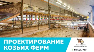 Проектирование козьих ферм. Оригинальные решения