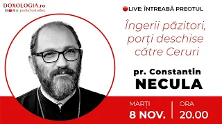 ⭕ LIVE: Pr. Constantin Necula – Îngerii păzitori, porți deschise către Ceruri