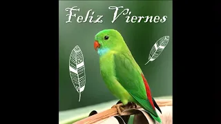 buenos dias feliz viernes bendiciones/feliz viernes y buen fin de semana/feliz viernes mi amor/gif*