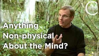 Giulio Tononi - Is There Anything Non-physical About the Mind?