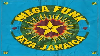 MEGA FUNK ERVA DA JAMAICA - DJ SANTOS SC