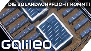 Solardachpflicht: Welche Vor- und Nachteile bringt sie? | Galileo | ProSieben |