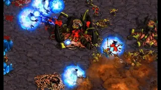 Sacsri (Z) vs Snow (P) on Cross Game - StarCraft - Brood War