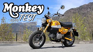 2020 Honda Monkey | das geilste kleinste Bike?!?