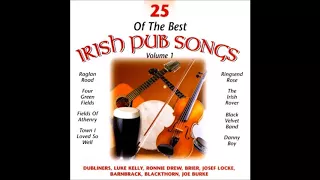 25 Of The Best Irish Pub Songs Vol.1 | Full Album | St Patrick's Day